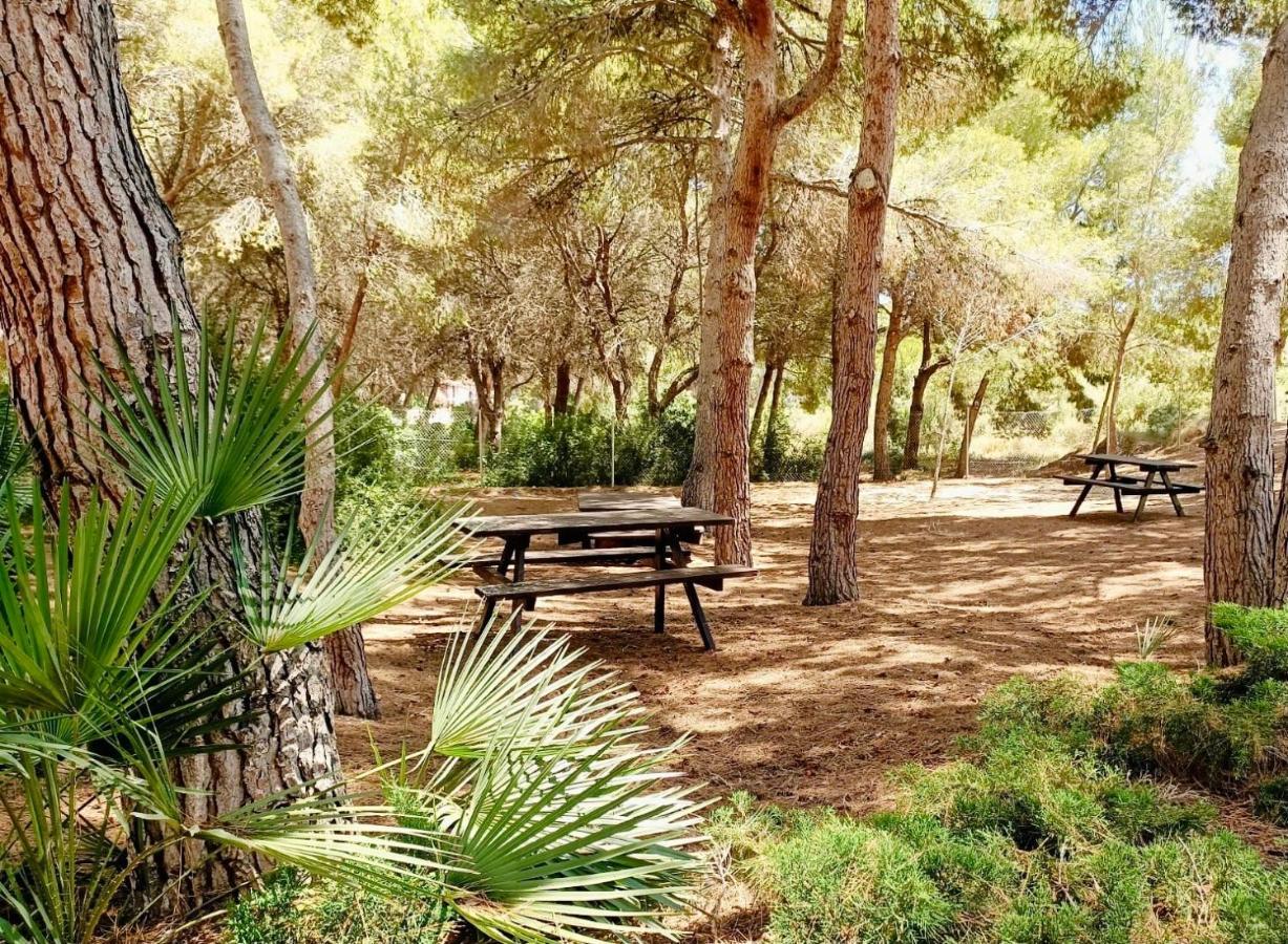 Apartamento Hermosa Glea كامبوامور المظهر الخارجي الصورة
