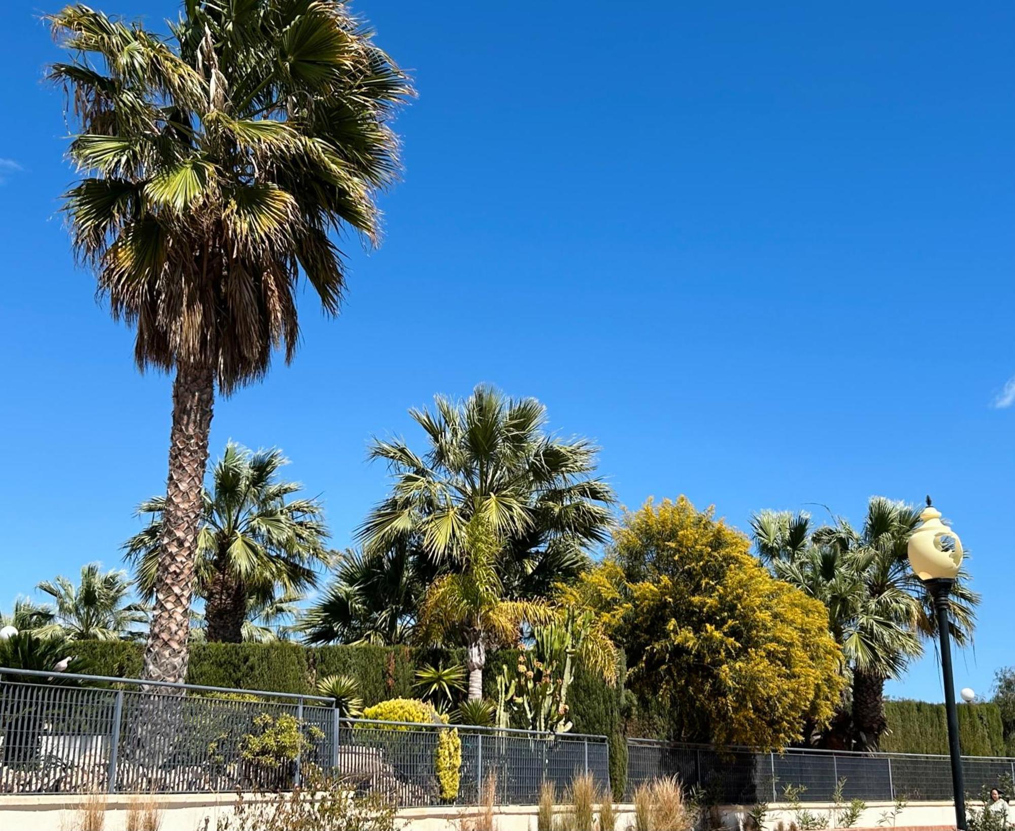 Apartamento Hermosa Glea كامبوامور المظهر الخارجي الصورة